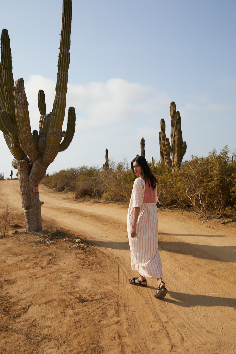 AURORA rustic striped dress